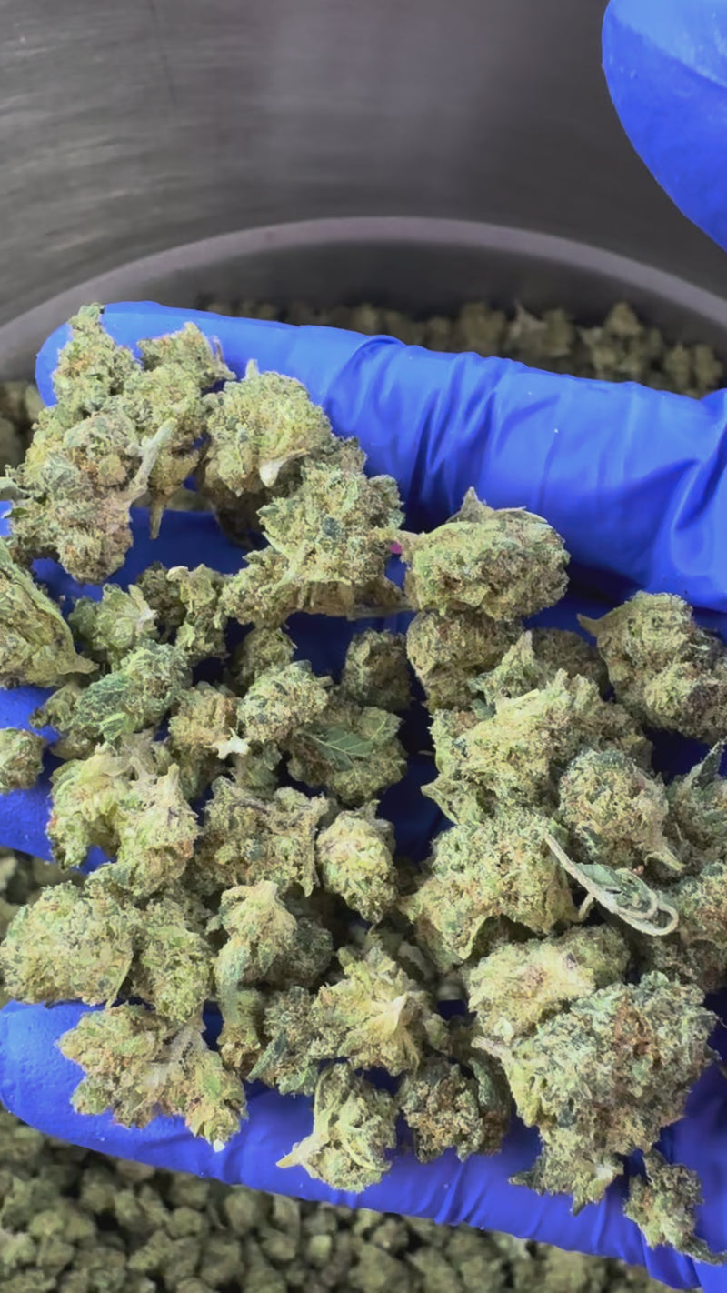 Small Buds Lemon Garlic – Indoor Elite USA — prezentační video