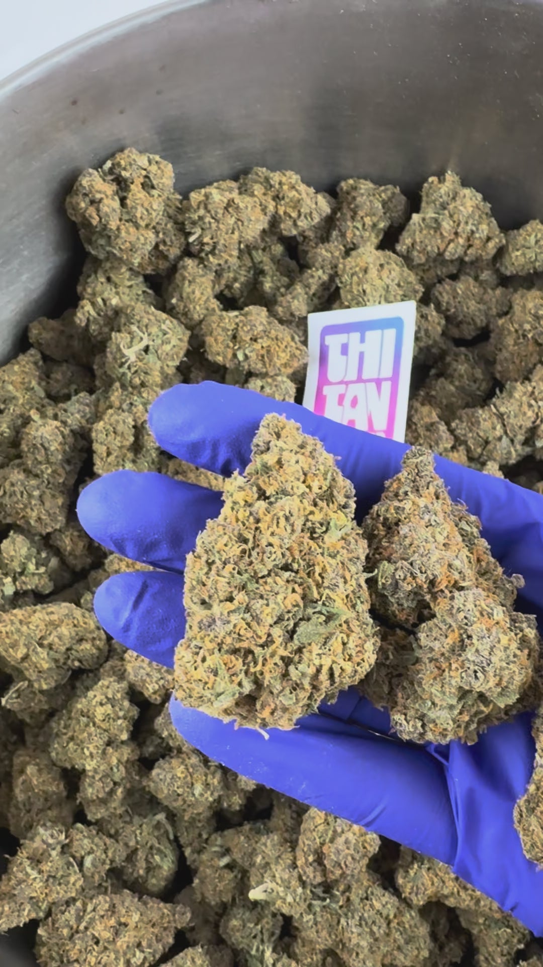 Ver el vídeo: Vídeo de presentación de la Grapefruit Hybride