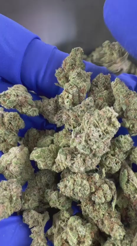 Ver el vídeo: Vídeo de presentación de Small Buds Apple Pie CBD Indoor