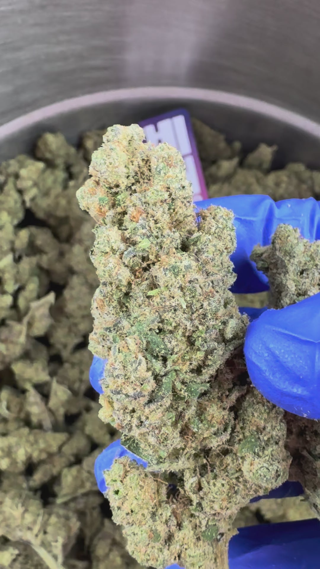 Carregar o vídeo: Apple Fritter - Indoor — vídeo de apresentação