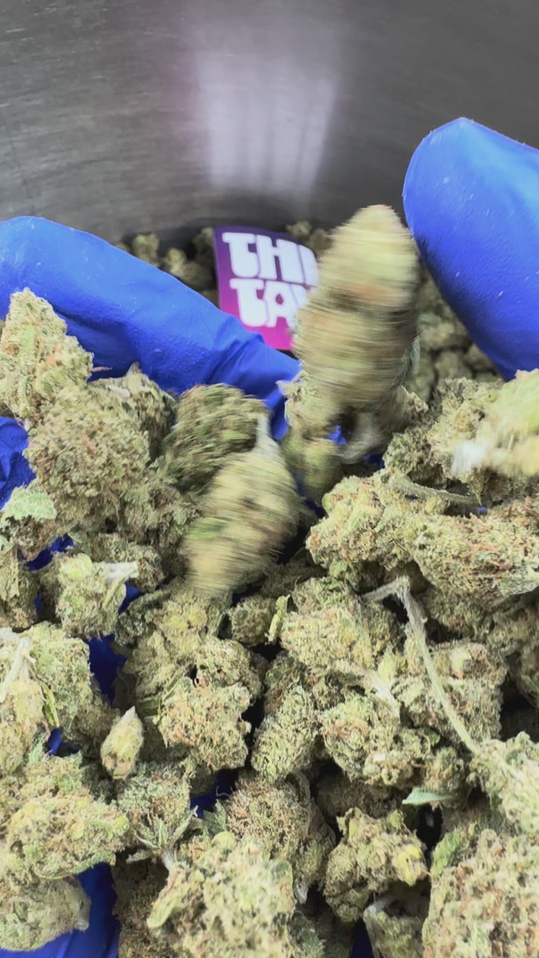 Video laden: Medium Buds Gushers V+ – Indoor — Präsentationsvideo