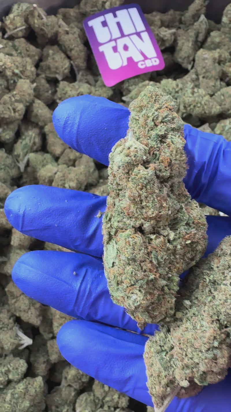 Gold Bar Kush - Binnen — presentatievideo