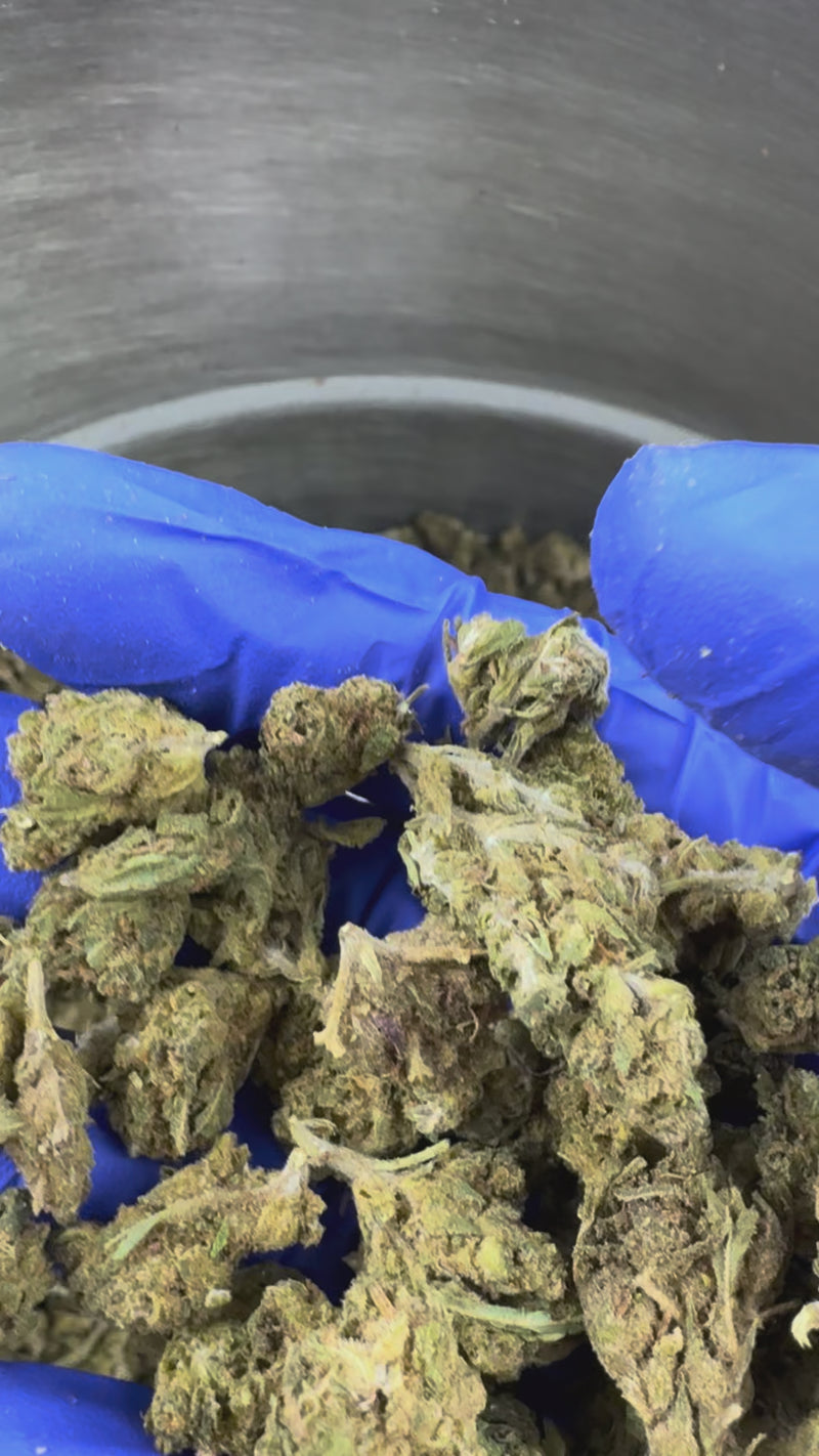 Malé palice Lemon Haze – Greenhouse — prezentační video