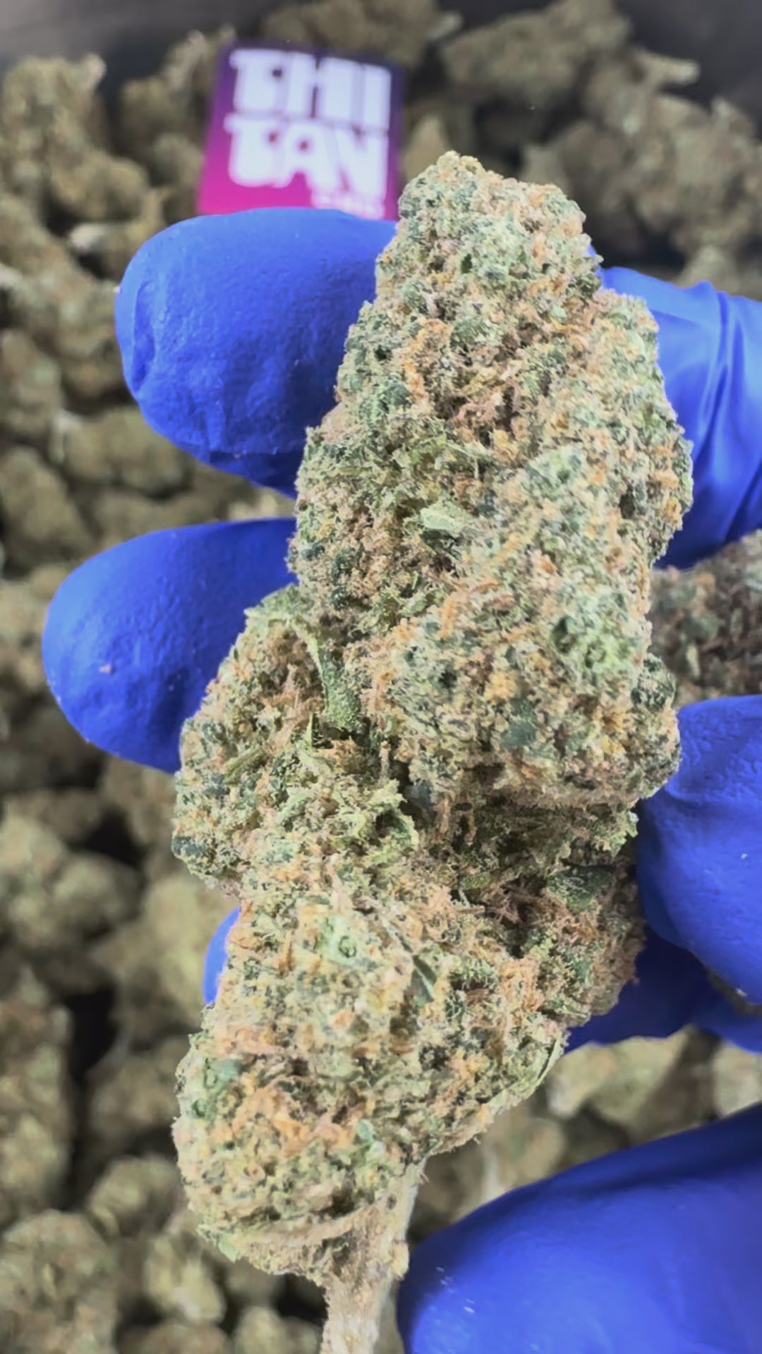Video laden: Medium Buds Blueberry Muffin – Präsentationsvideo