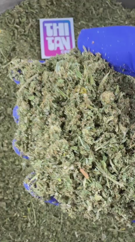 Video laden: Trim A++ Hybrid – Präsentationsvideo
