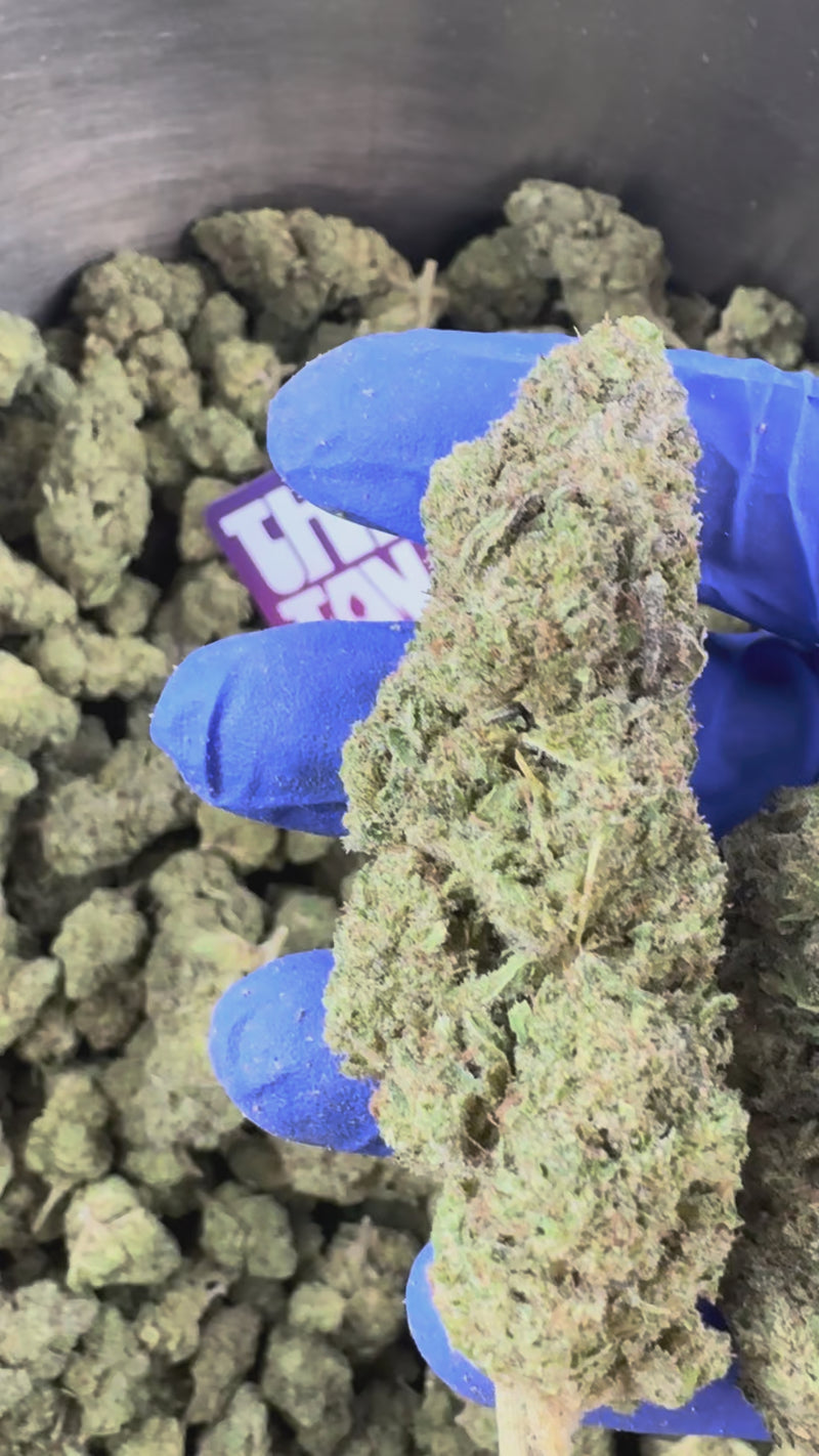 Zoap CBD – Indoor — prezentační video