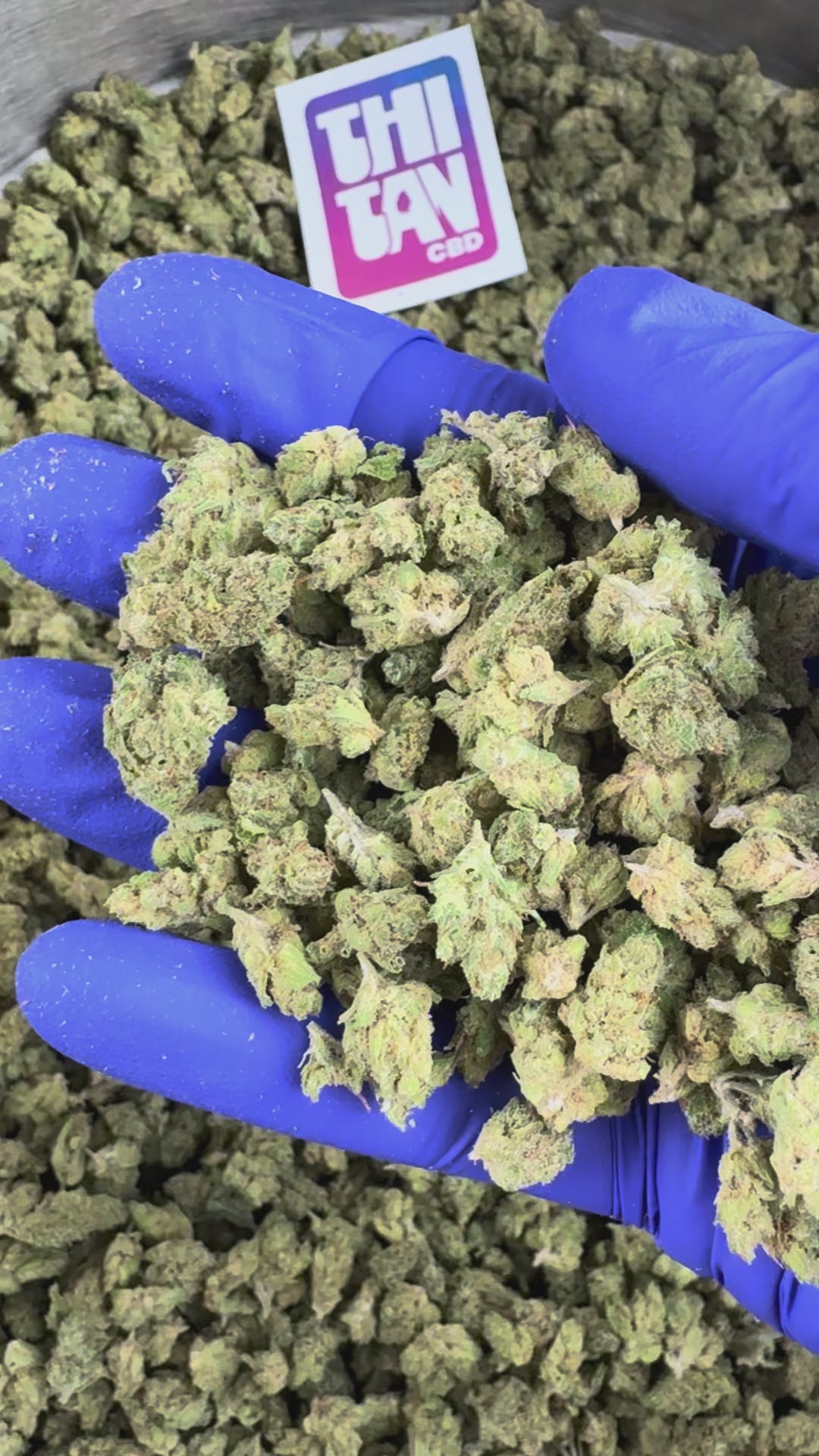Načíst video: Small buds Gushers V+ – Indoor — prezentační video
