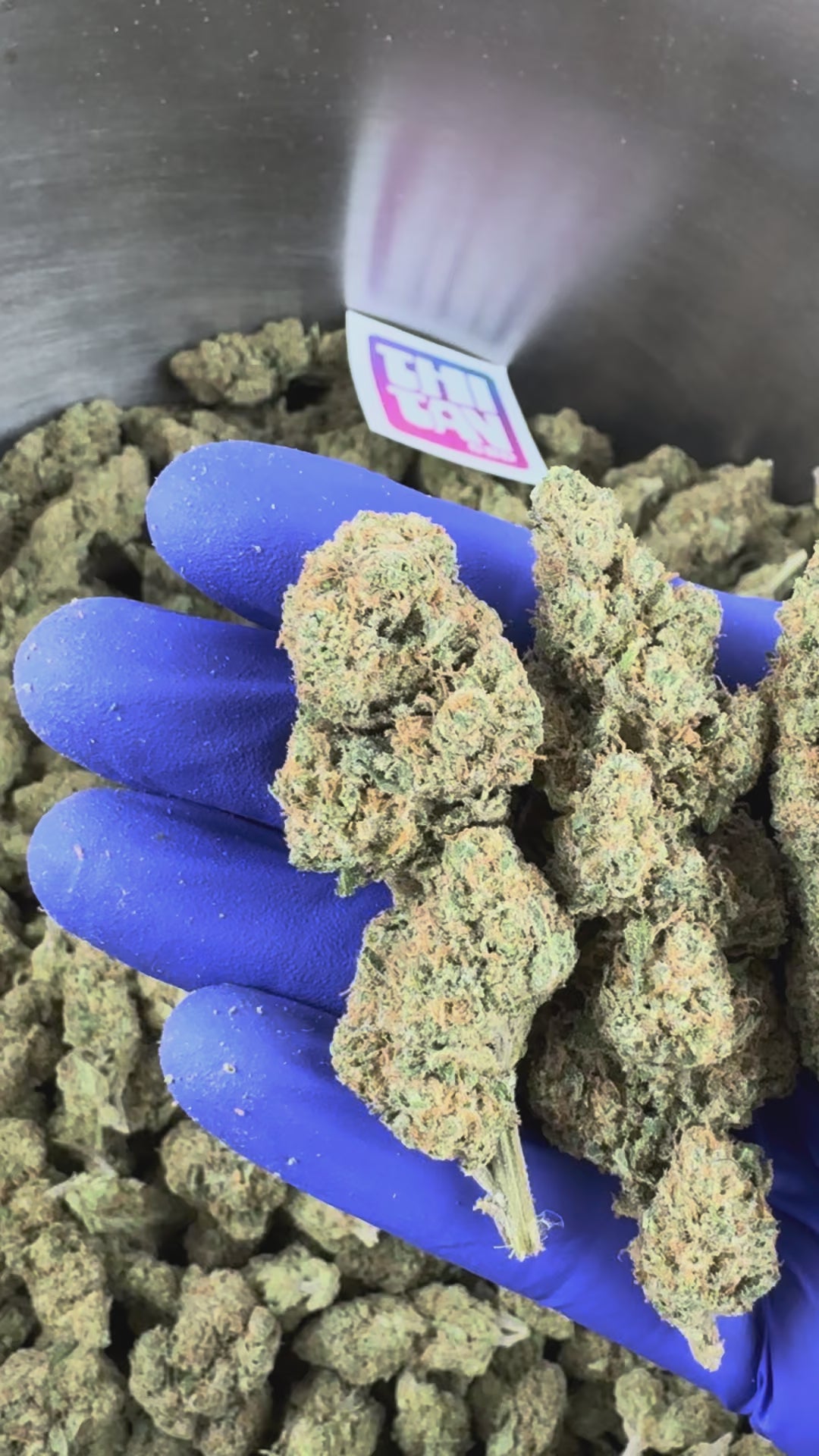 Ver el vídeo: Vídeo de presentación de la Wedding Cake CBD Indoor