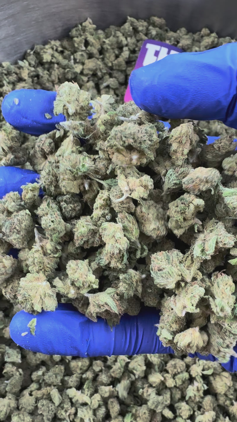 Small Buds Gushers V+ - Binnen — presentatievideo