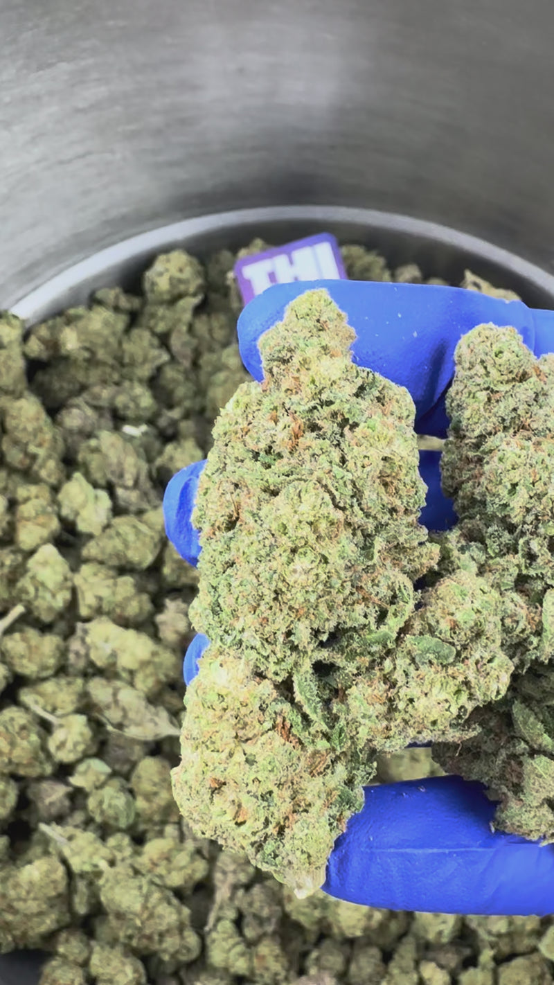 Captain Crunch - Indoor Elite USA — vidéo de présentation