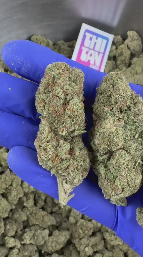 Video laden: Präsentationsvideo zum Apple Pie Indoor CBD
