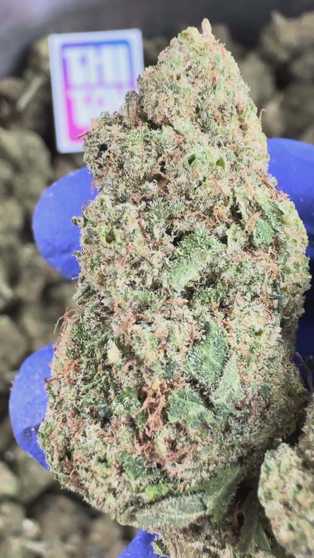 Load video: Video presentation of the Ice-O-Lator 40% CBD