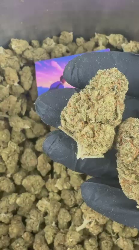 Charger la vidéo: Vidéo de présentation de la Banana Kush CBD Indoor