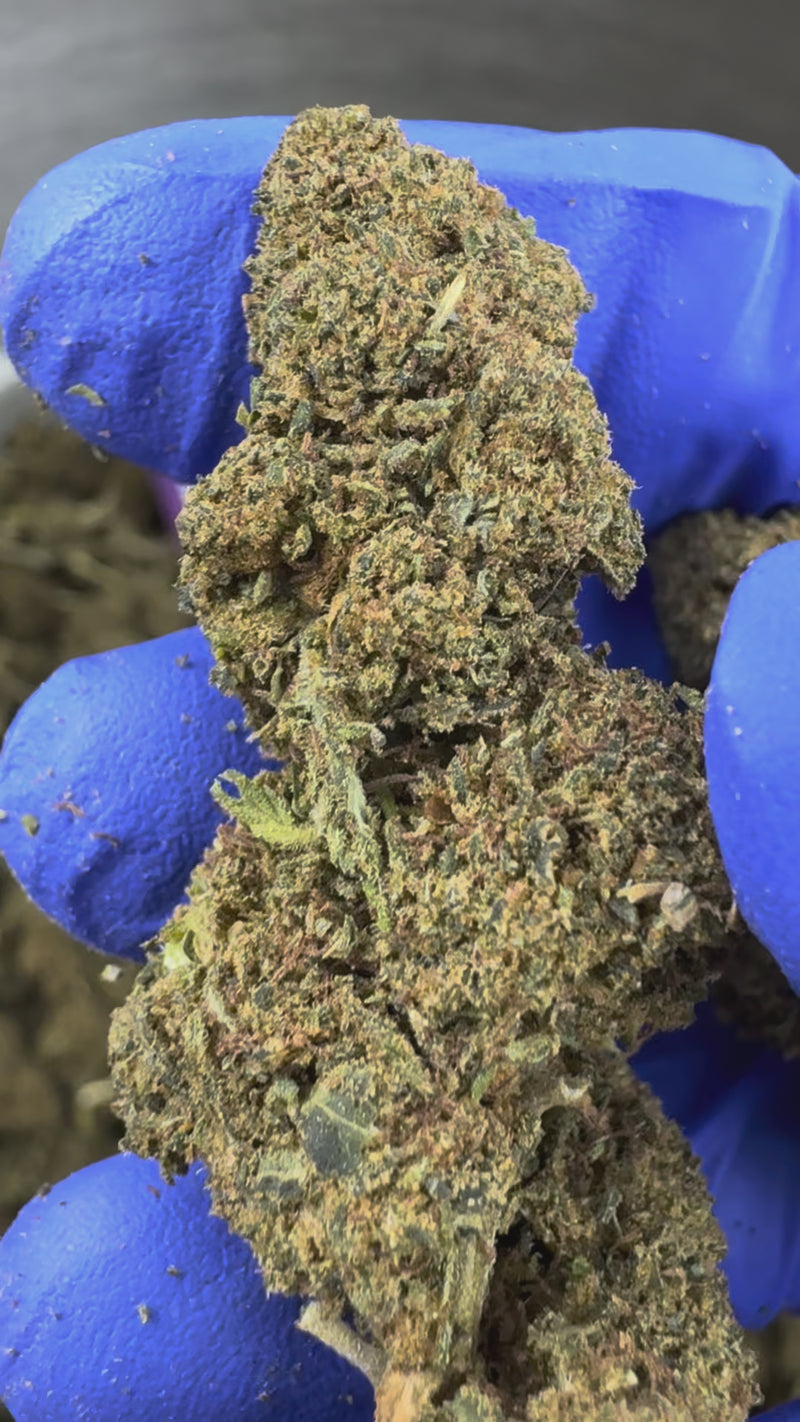 Pineapple – Greenhouse — prezentační video