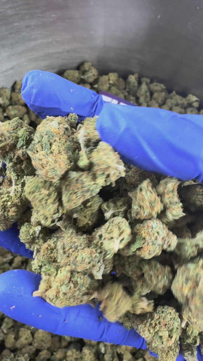 Small Buds Blueberry Muffin – Präsentationsvideo