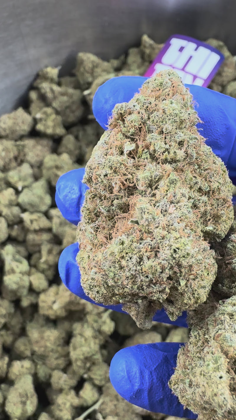 Gushers CBD - Indoor — presentatievideo
