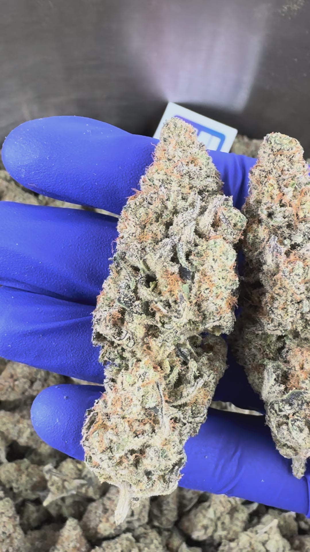 Video laden: Präsentationsvideo zur Malabar X Zoap CBD Indoor