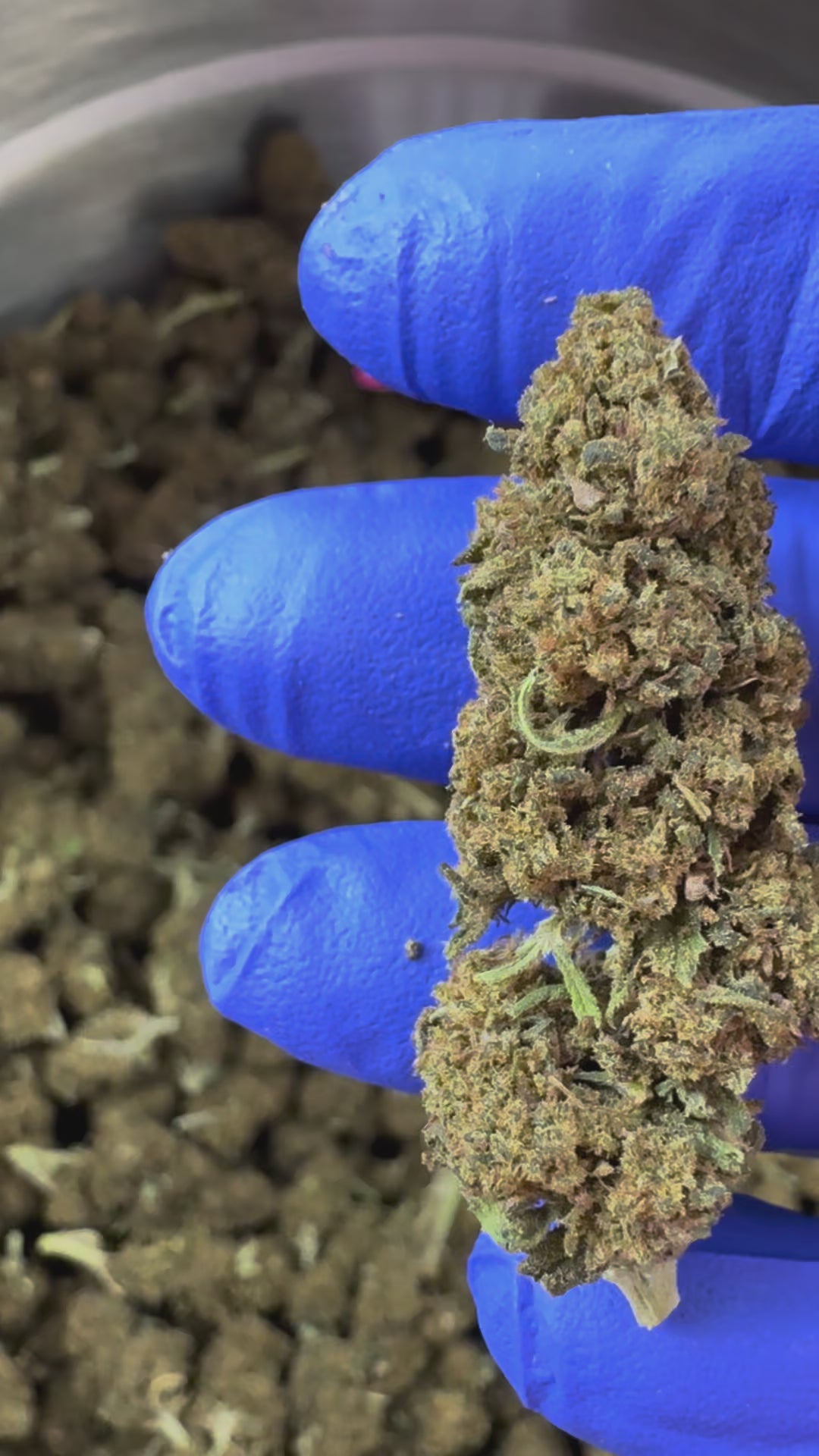 Načíst video: Ovoce – Greenhouse — prezentační video