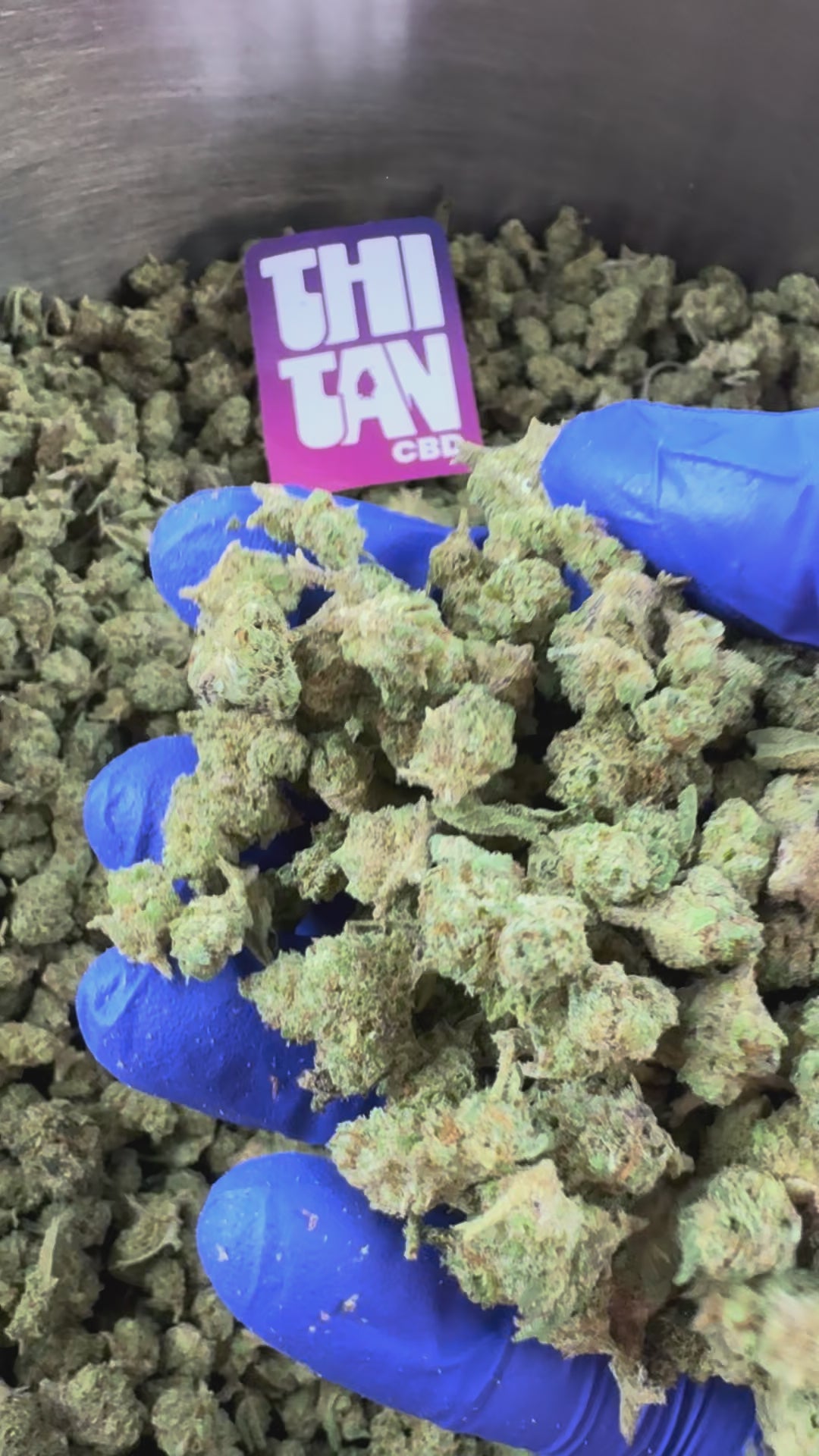 Načíst video: Small buds Fruity Pebbles – Indoor Elite USA — prezentační video