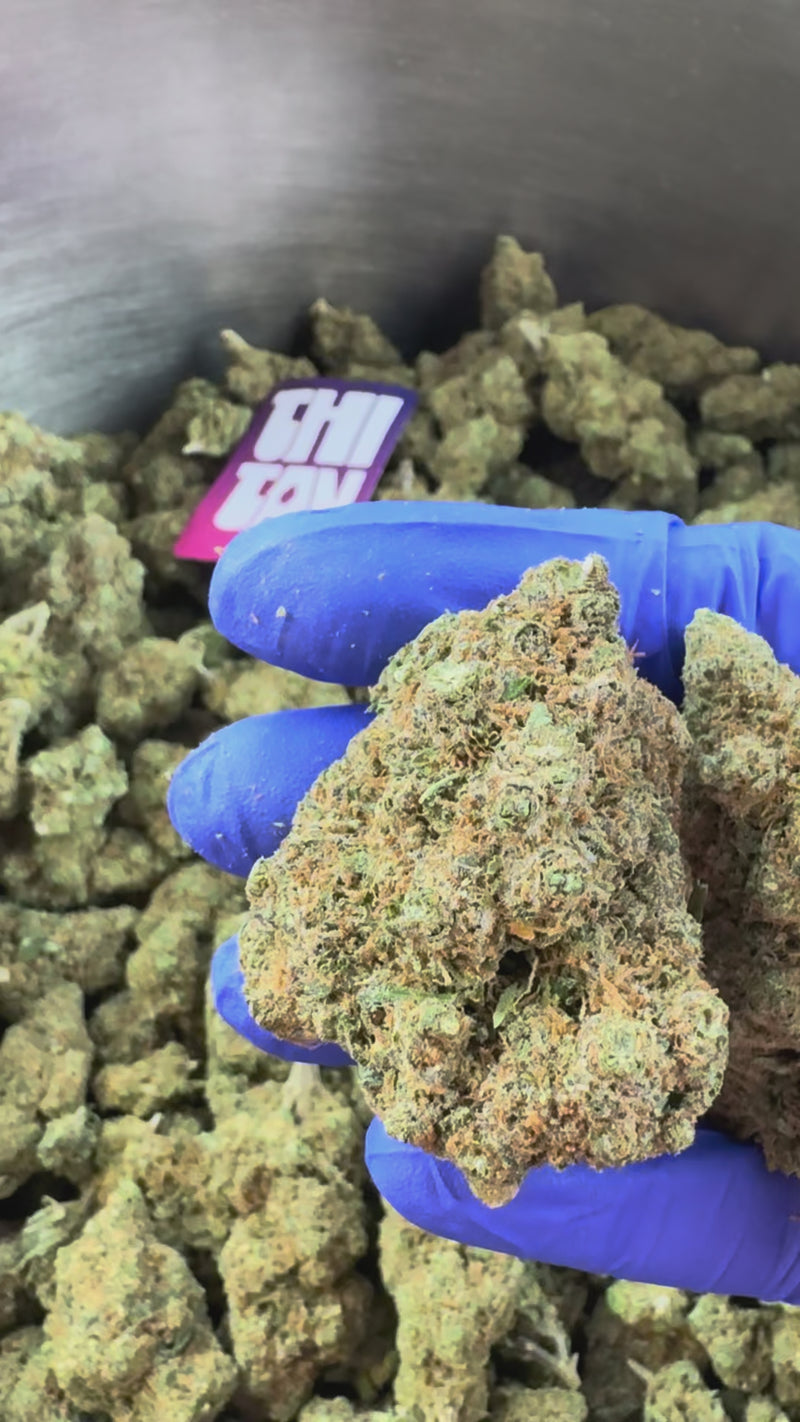 Wedding Cake HQxCT CBD – pěstování v interiéru — prezentační video