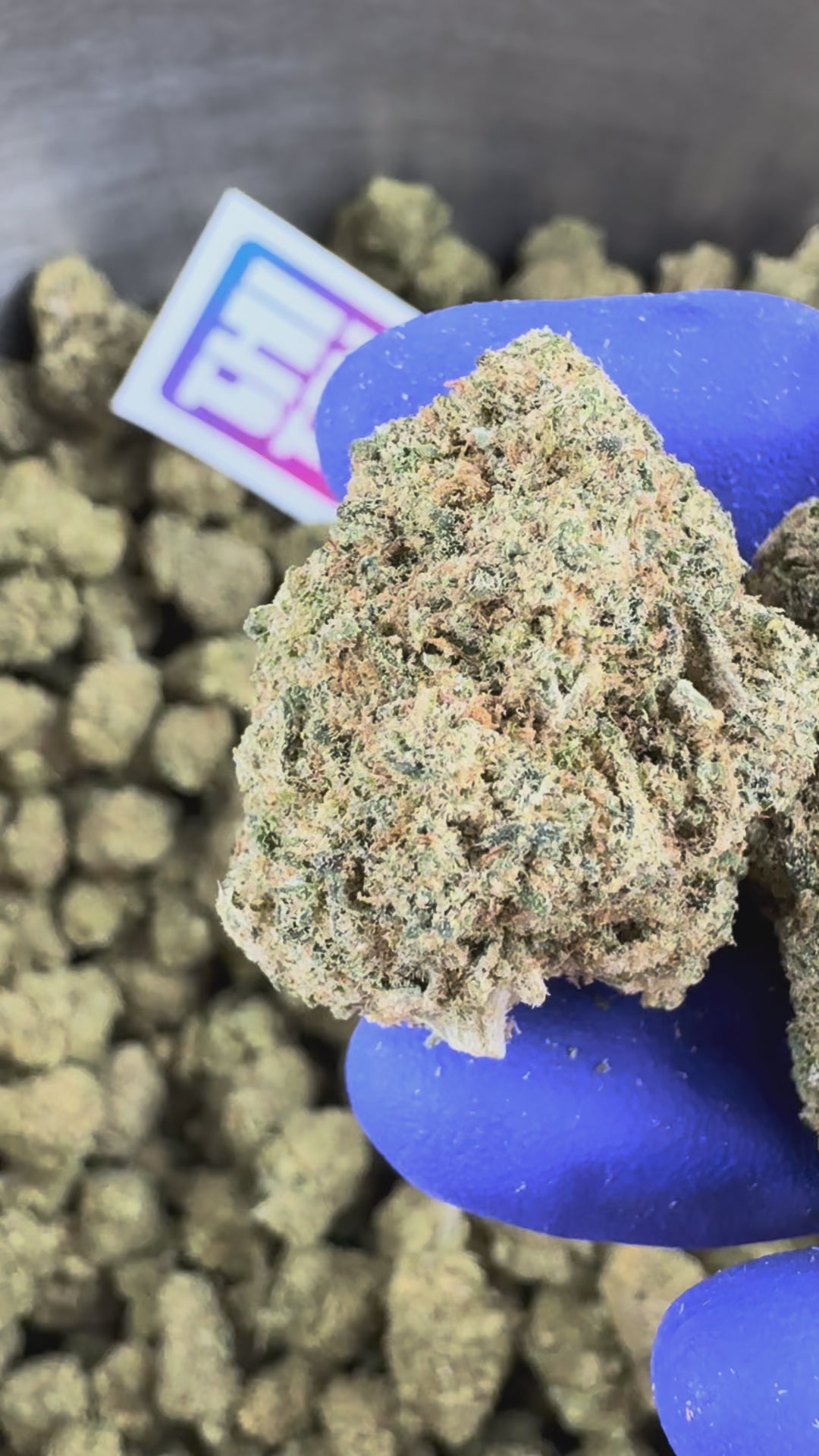 Upload video: Presentation video of the CBD Indoor Ice Cream Cake